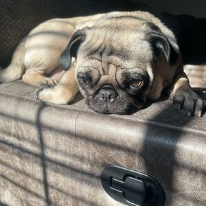 Meet your Posher, Marisela